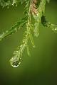Goutte d'eau